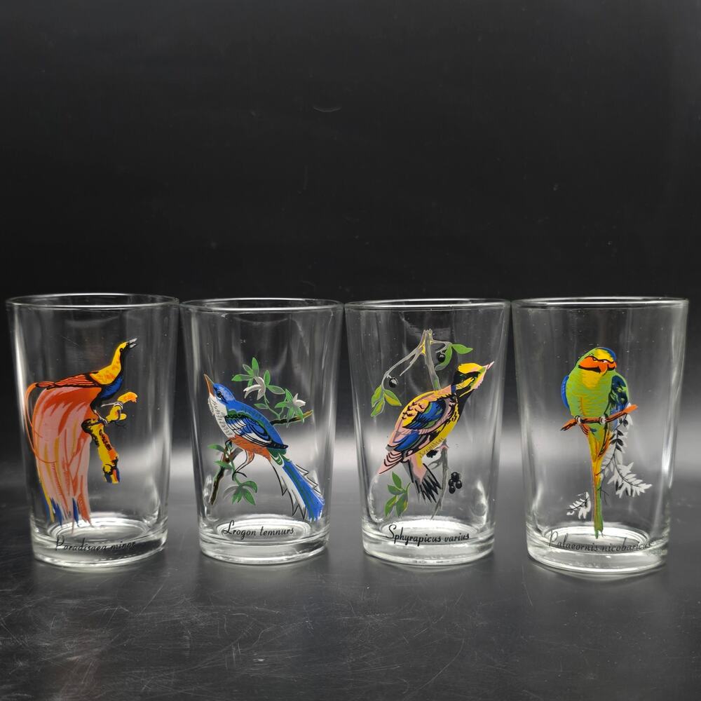 Vintage Bird Juice Glasses Tumblers 1960s KIG Malaysia